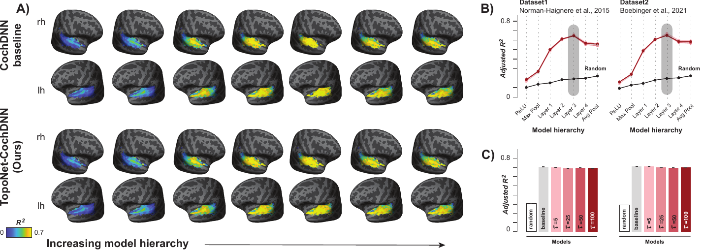 Figure 2 — Brain Predictivity (fMRI)