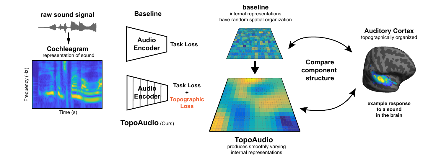 Figure 1 — TopoAudio Pipeline Overview