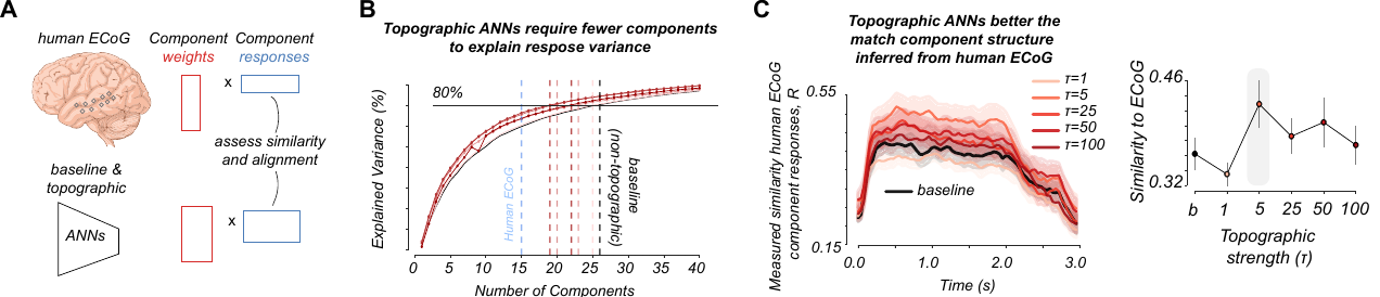 Figure 3 — Component Analysis & ECoG Alignment